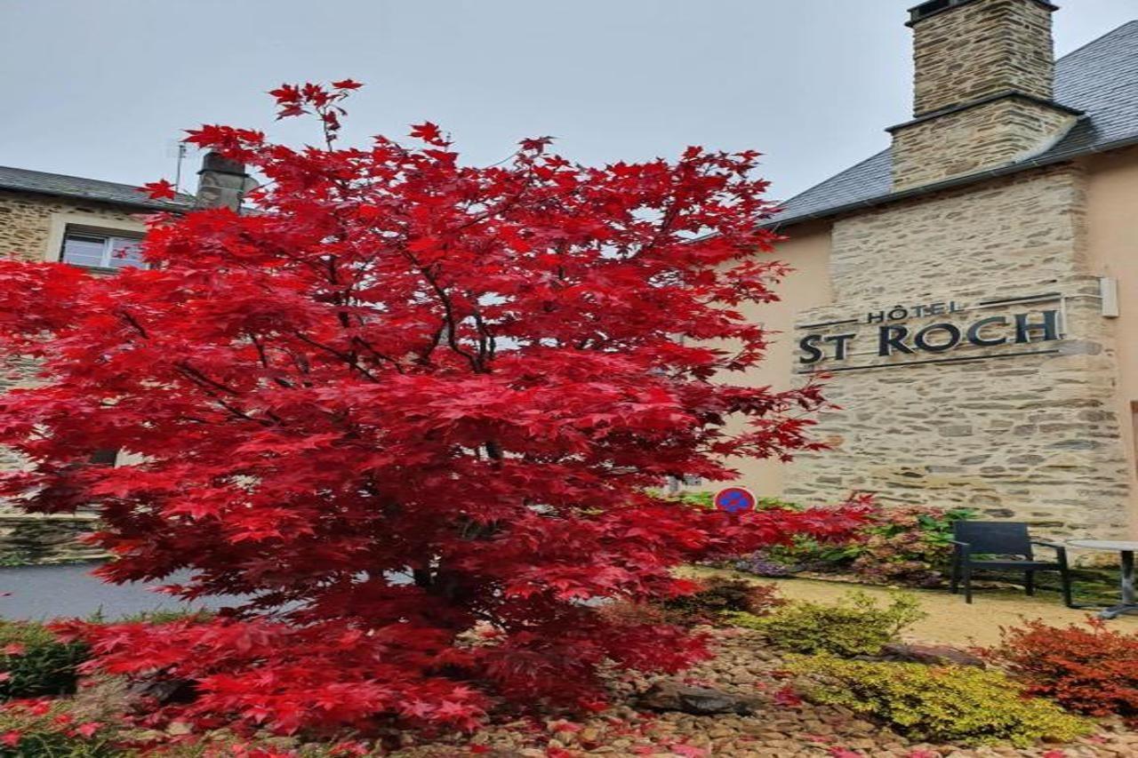 The Originals Relais Hotel Saint-Roch Salzuit Esterno foto