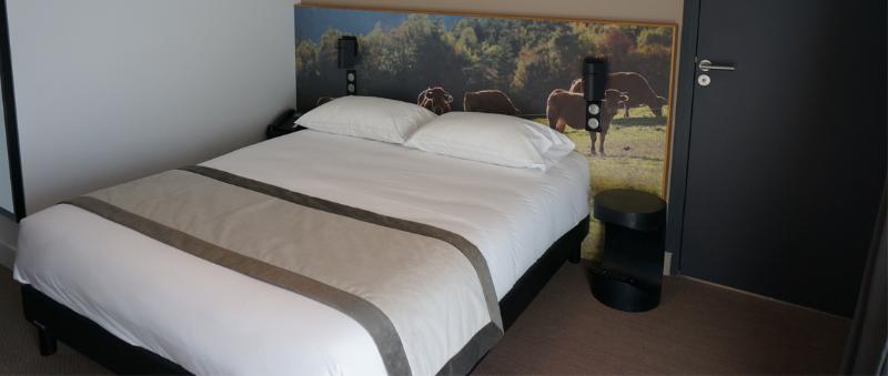 The Originals Relais Hotel Saint-Roch Salzuit Esterno foto